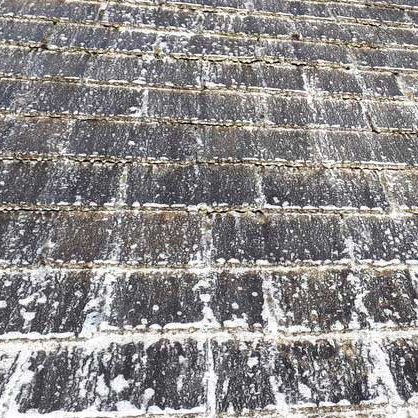 Moss removal biocide wash