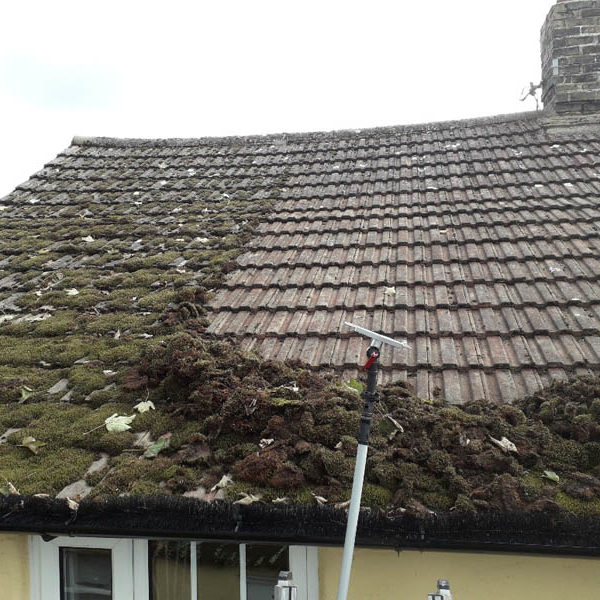 Roof moss removal Buckingham